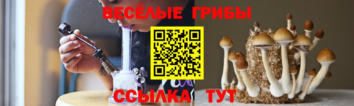 Псилоцибиновые грибы MAGIC MUSHROOMS Феодосия